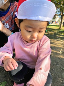 かとうあかり