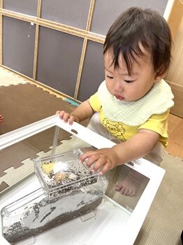 0804ゆうり