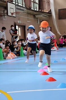 IMG_3403 (2)-2