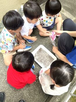 0804ありとお別れ