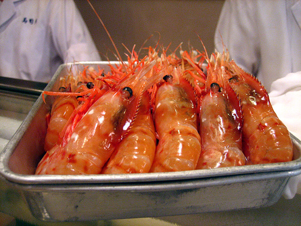 sushidai08