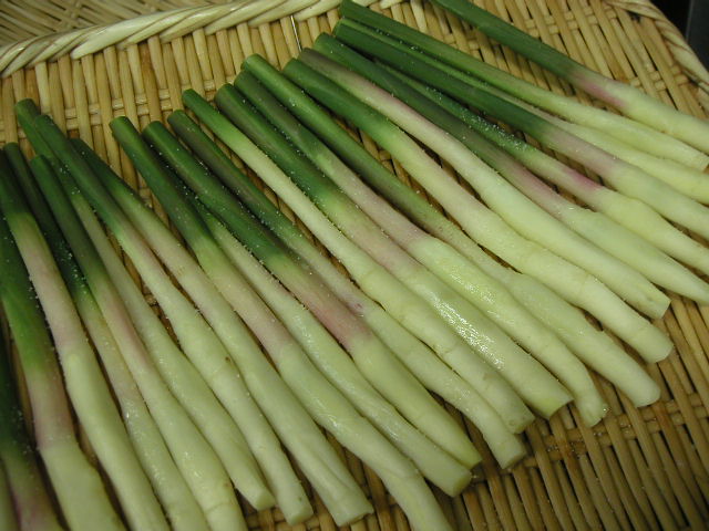 はじかみの作り方 てんぷら荘司の日記