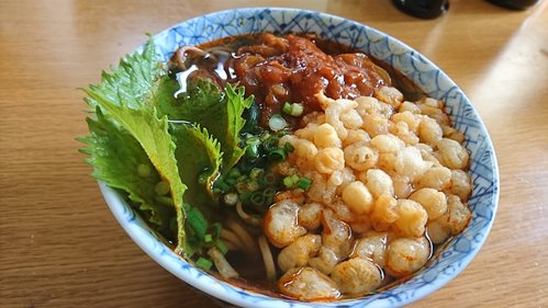 ハヤシ南蛮そば