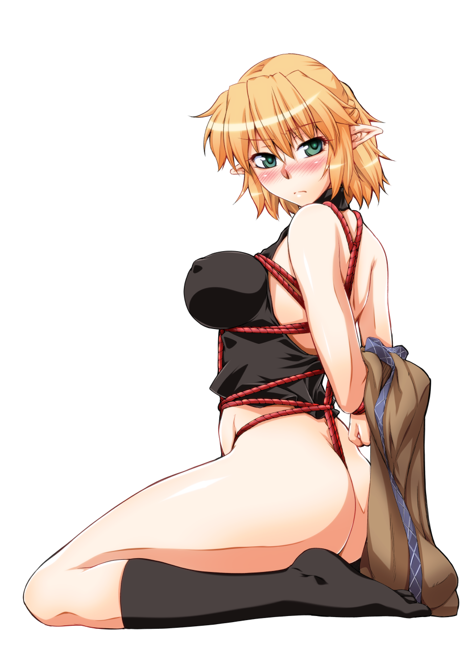 e39254a68216026955c678b161272c56