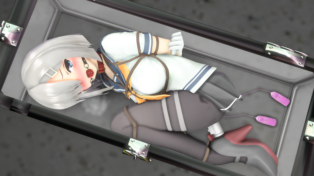 72743575_p12