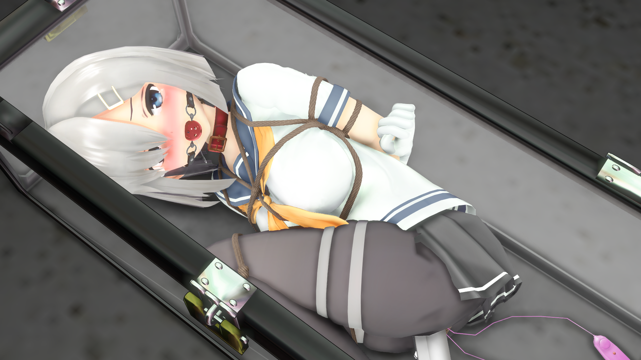 72743575_p11