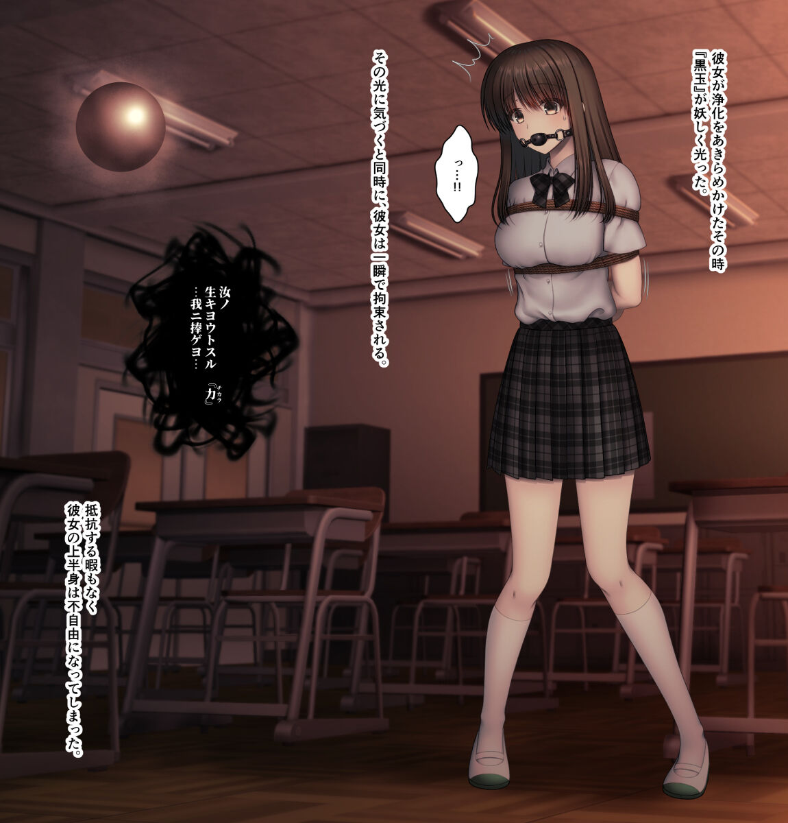 88564806_p2_master1200