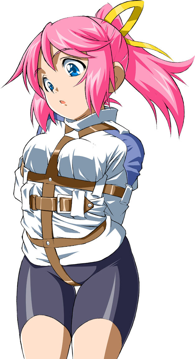 13d52caf86564c1591cddb881651a08b