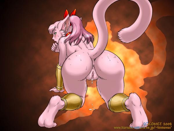 d164c403283d7accb2449eef80e19375