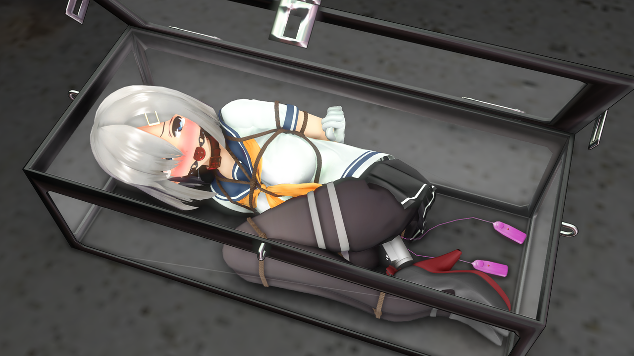 72743575_p7