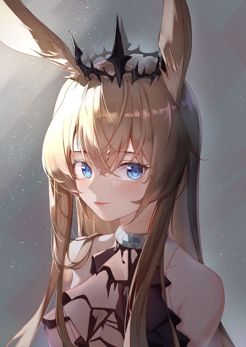 z15