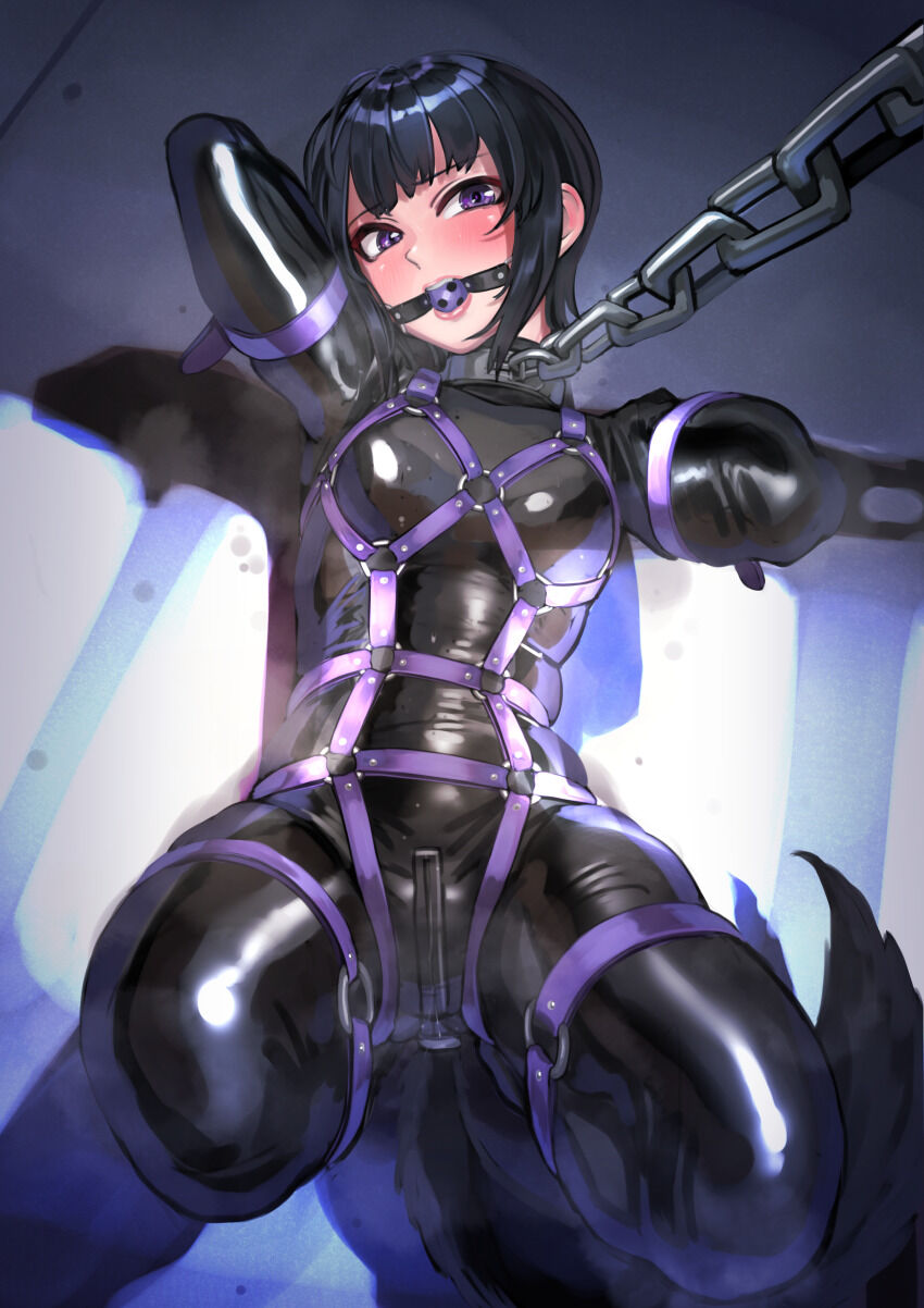 z16