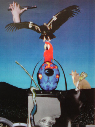 謎が笛吹く類美沌 2013