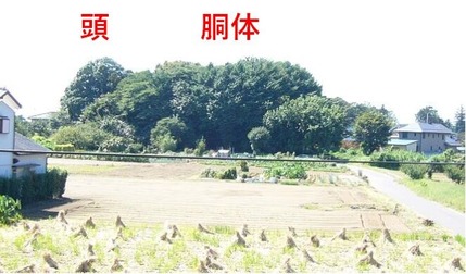 巨象飲水形の林（秋）