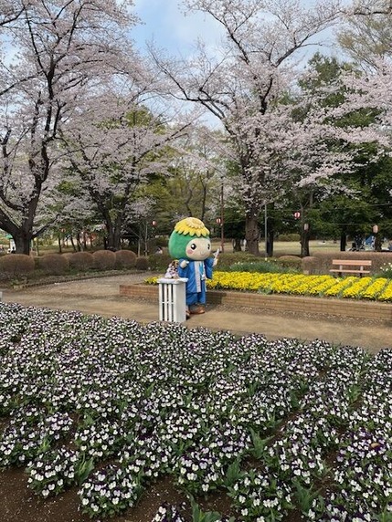 丙午年、裸の王様になったトランプ大統領を命理学的に考察