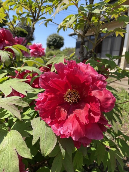 風水ショート動画をYoutubeに公開しました。