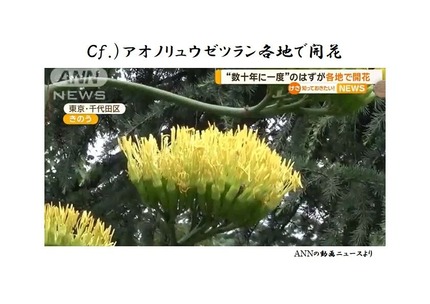 スライド２０