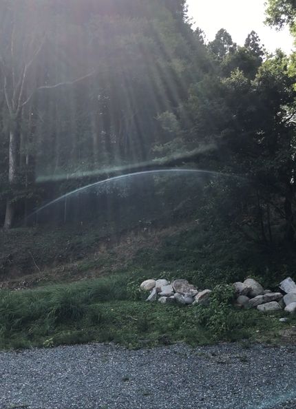 水神様が地中で眠られている涸れ池