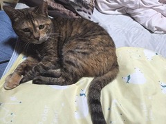 �䴶�饦�餵�󥷡��ȡ��ȤäƤ���Ƥ��ޤ�