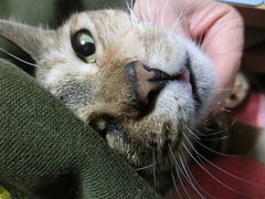 ´Å¤¨¤Ã»Ò¥é¥¦¥é