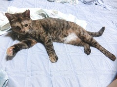 小さなお手々…