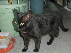 ¥Ý¡¼¤Á¤ã¤ó¤ª¤«¤¨¤ê