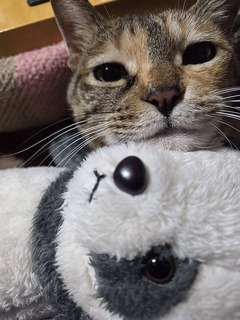 20260105a