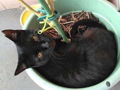 Ǥ¬À¸¤¨¤¿¿¢ÌÚÈ