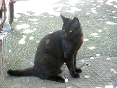 エドガー遊びに来た