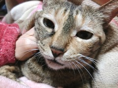 ¤Á¤ç¤Ã¤ÈÙ¹¤Í¤Æ¤ë¡©¥é¥¦¥é