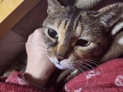 �郎�ޤޥ饦��ɱ