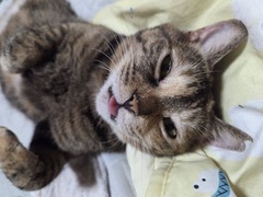 �饦�顢�ڥ���ȸ����Ƥޤ�