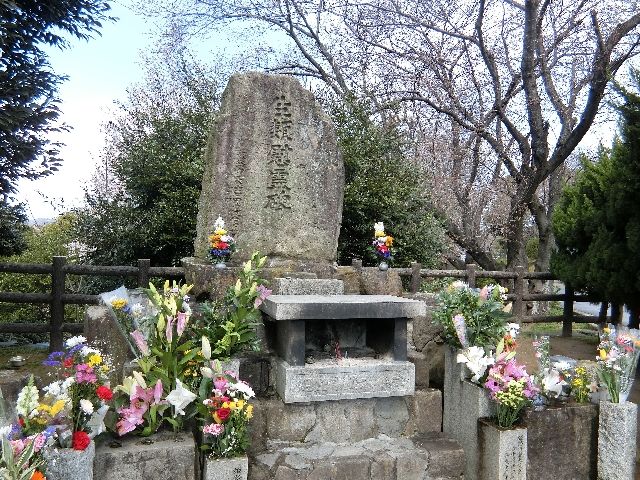 お空に還りました 馴れていない成猫の幸せへの道 お空に還りました 馴れていない成猫の幸せへの道