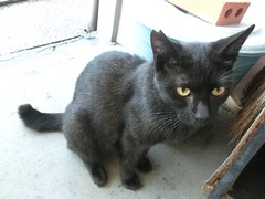 エドガー「おとこのこだよ!」