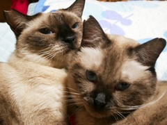 ¥¤¥¶¥¸¥ó¥Ä¡¼¥·¥ç¥Ã¥È¡¦£±