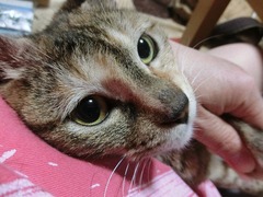 ラウラ、抱っこはまだ上手じゃない