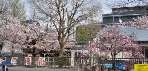 KIMG0739