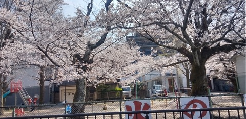 KIMG0703