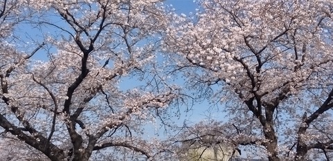 KIMG0707