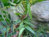 0c6d636e.jpg