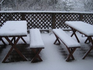 IMG_1831-s