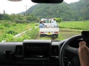 jpg-s