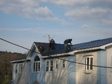 c0354573.jpg