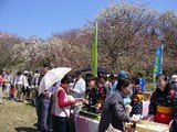c91b9df7.jpg