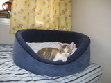 fb961084.jpg