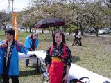 茶っきり娘