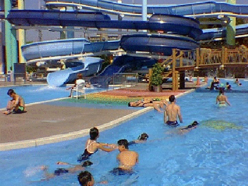 天子連メジャーズのブログ 西河原市民プール覚え書き 天子連メジャーズのブログ 西河原市民プール覚え書き