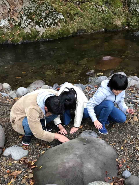 IMG_2759