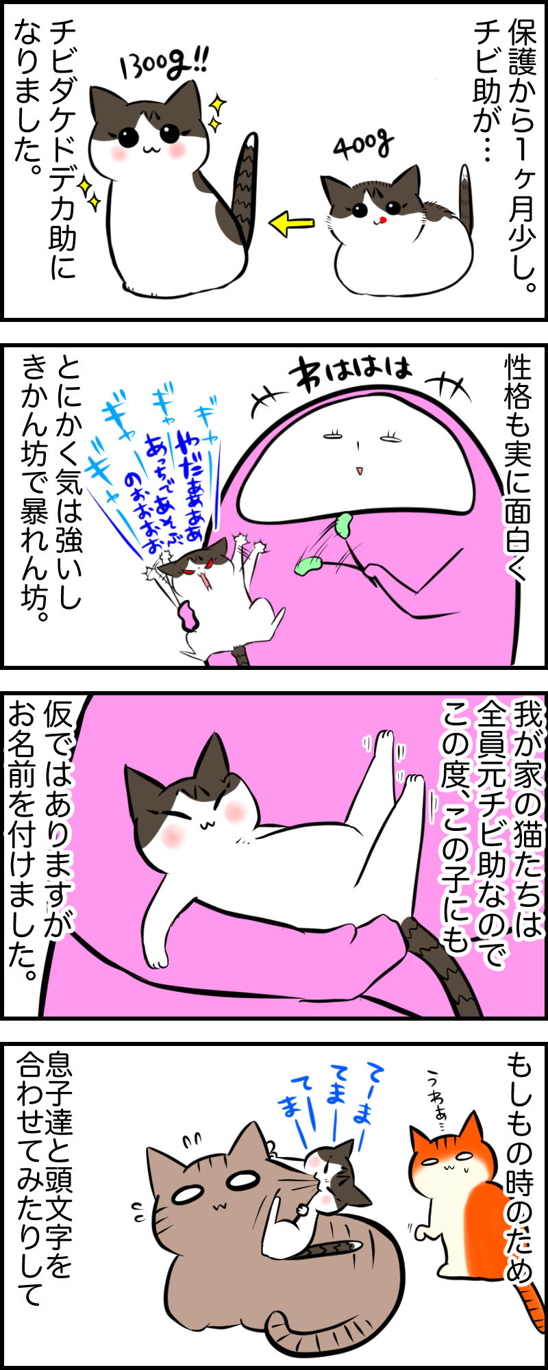 5コマ 子猫の名前を決めました デブでオタクで独身だけど猫がいる 5コマ 子猫の名前を決めました デブでオタクで独身だけど猫がいる