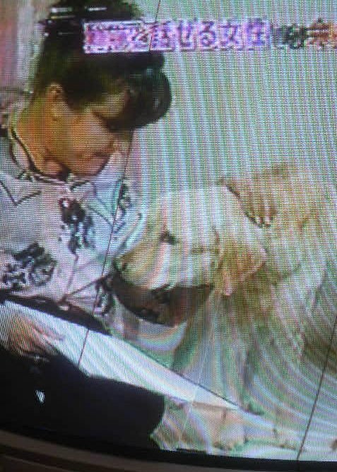 動物と話せるハイジの話 私の和みの日々
